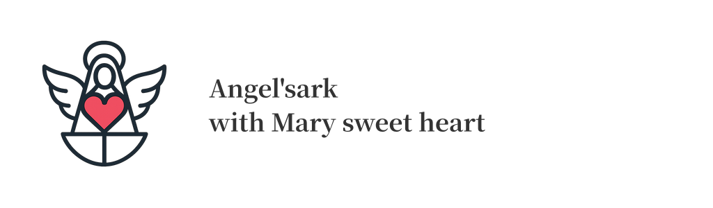 Angel'sark with Mary sweet heart